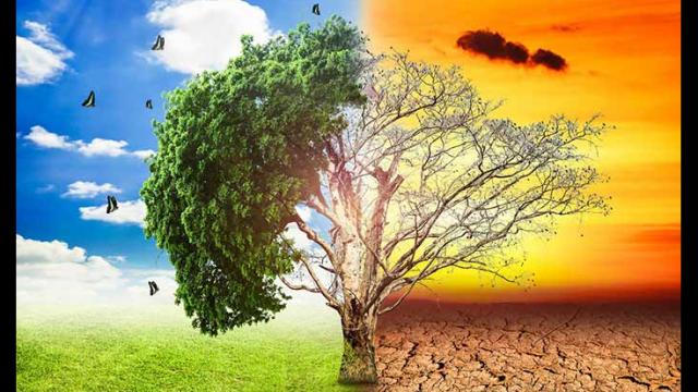 Global warming report writing